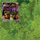 Animal Collective en Myspace