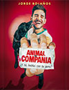 Animal de compa��a