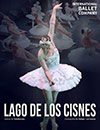 El lago de los cisnes