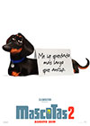 Mascotas 2