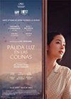 P�lida luz en las colinas