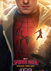Spider-man: Brand new day 3D