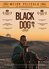 Black dog
